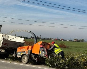 Primăria Brazi: Au început lucrările în baza contractului „Servicii de toaletare și defrișare a arborilor aflați pe domeniul public al comunei Brazi”