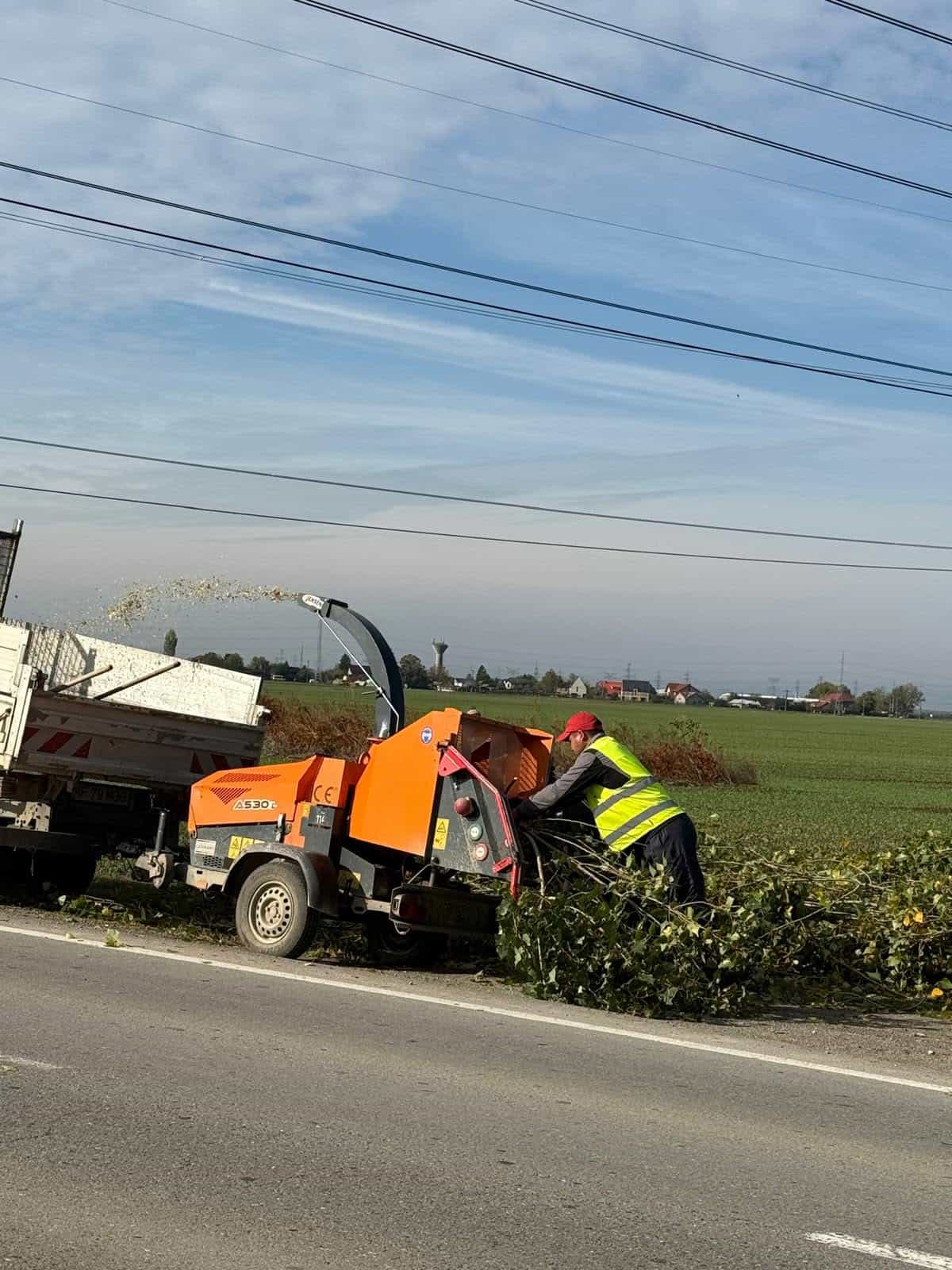 Primăria Brazi: Au început lucrările în baza contractului „Servicii de toaletare și defrișare a arborilor aflați pe domeniul public al comunei Brazi”