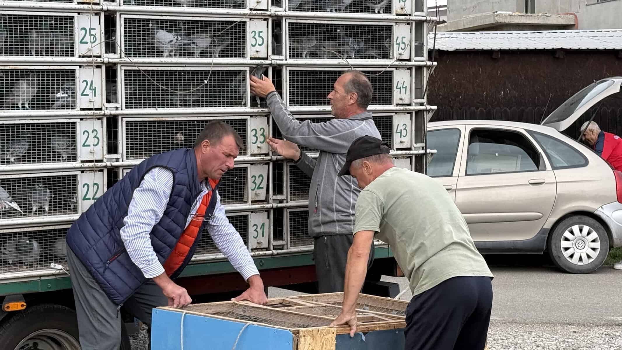 Porumbei de mii de euro, crescuți în Prahova. Campionii din Bănești au parcurs 243 km din Bulgaria în puțin peste trei ore Porumbei de mii de euro, crescuți în Prahova. Campionii din Bănești au parcurs 243 km din Bulgaria în puțin peste trei ore