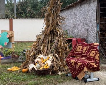 Primăria Râfov: Festivalul toamnei la Sicrita, copiii și cadrele didactice au adus culoare și bucurie în comunitate Primăria Râfov: Festivalul toamnei la Sicrita, copiii și cadrele didactice au adus culoare și bucurie în comunitate