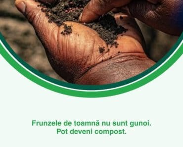 Vitalia Mediu: Frunzele de toamnă pot deveni compost